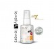 Lovely lovers delay spray